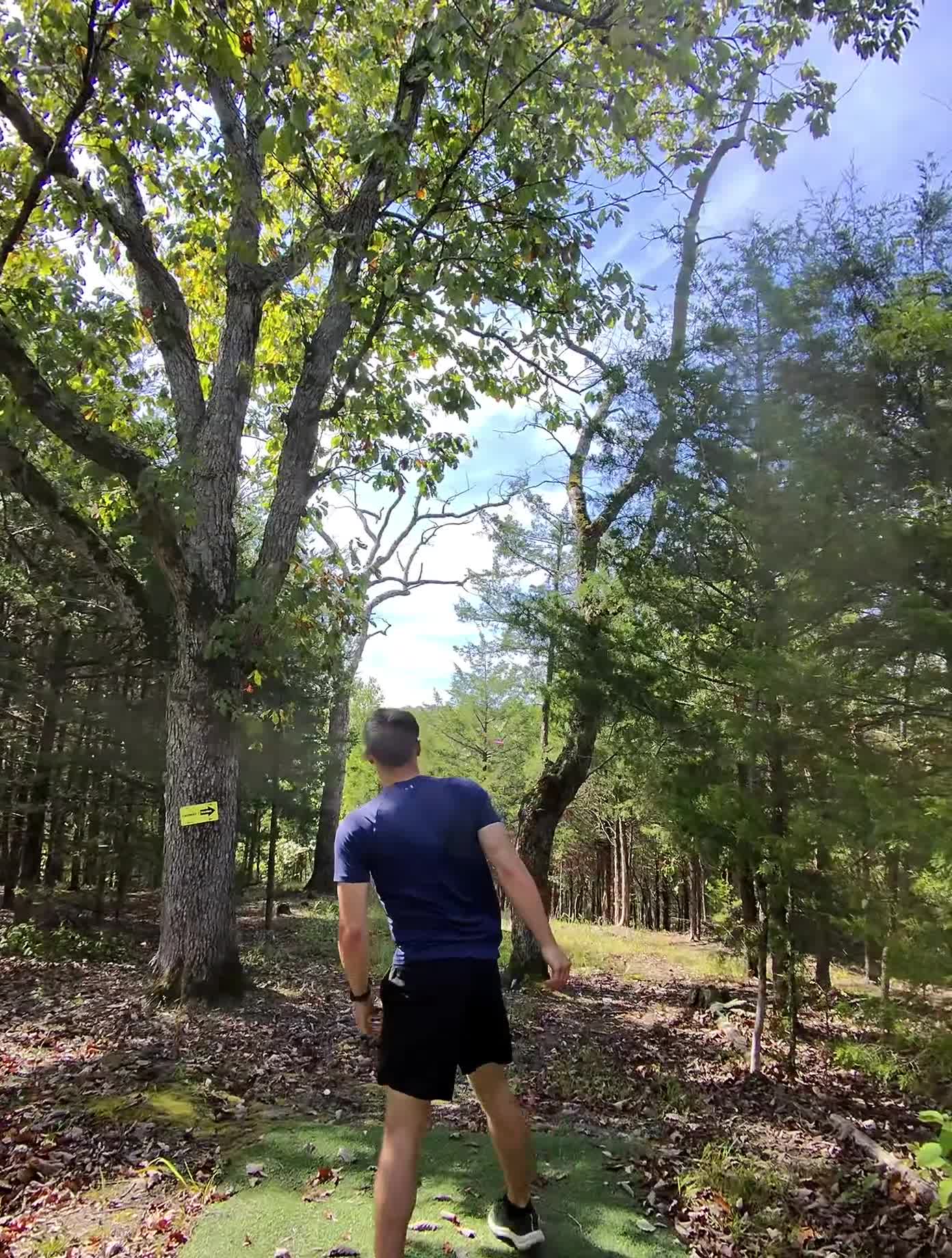 Disc Golfing in Nature