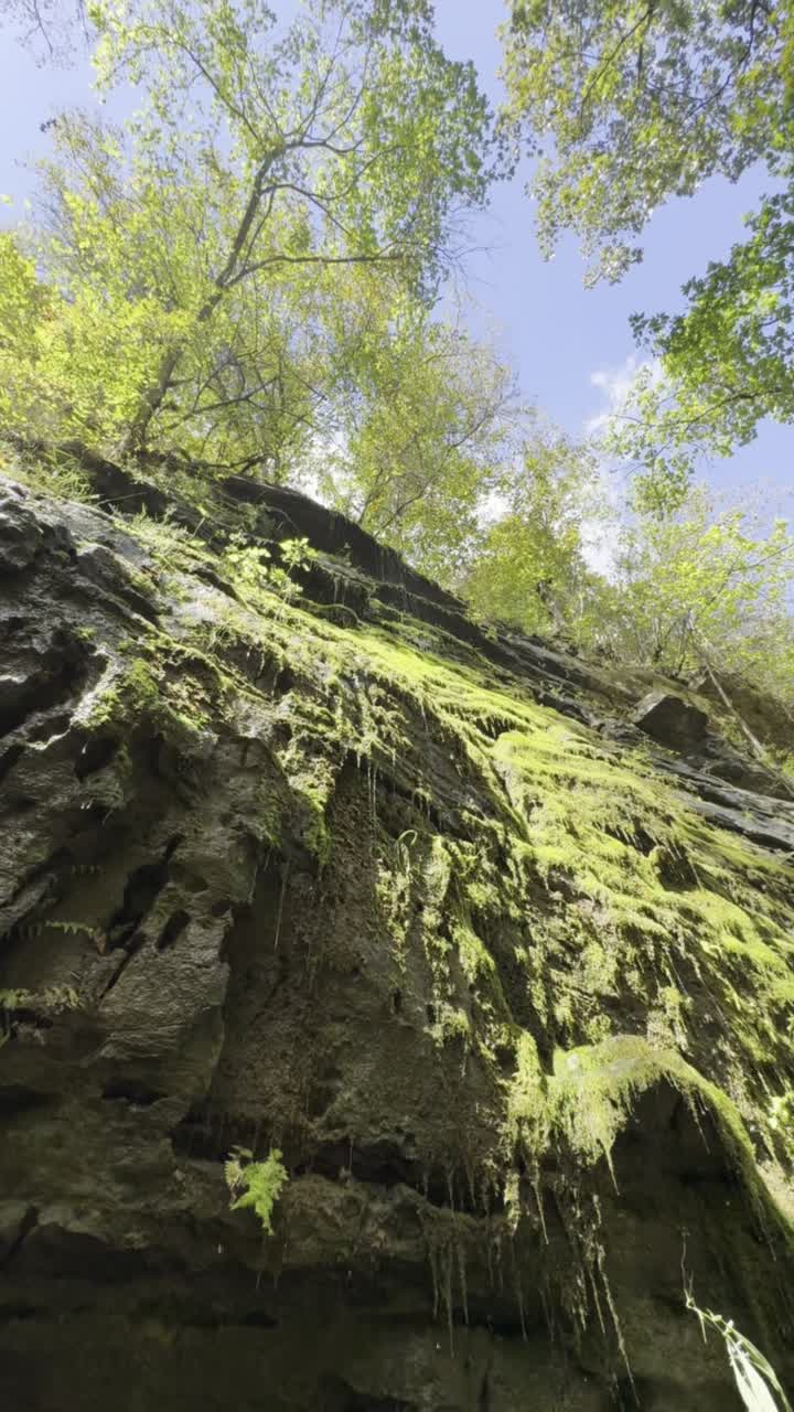 Nature Walk Meditation