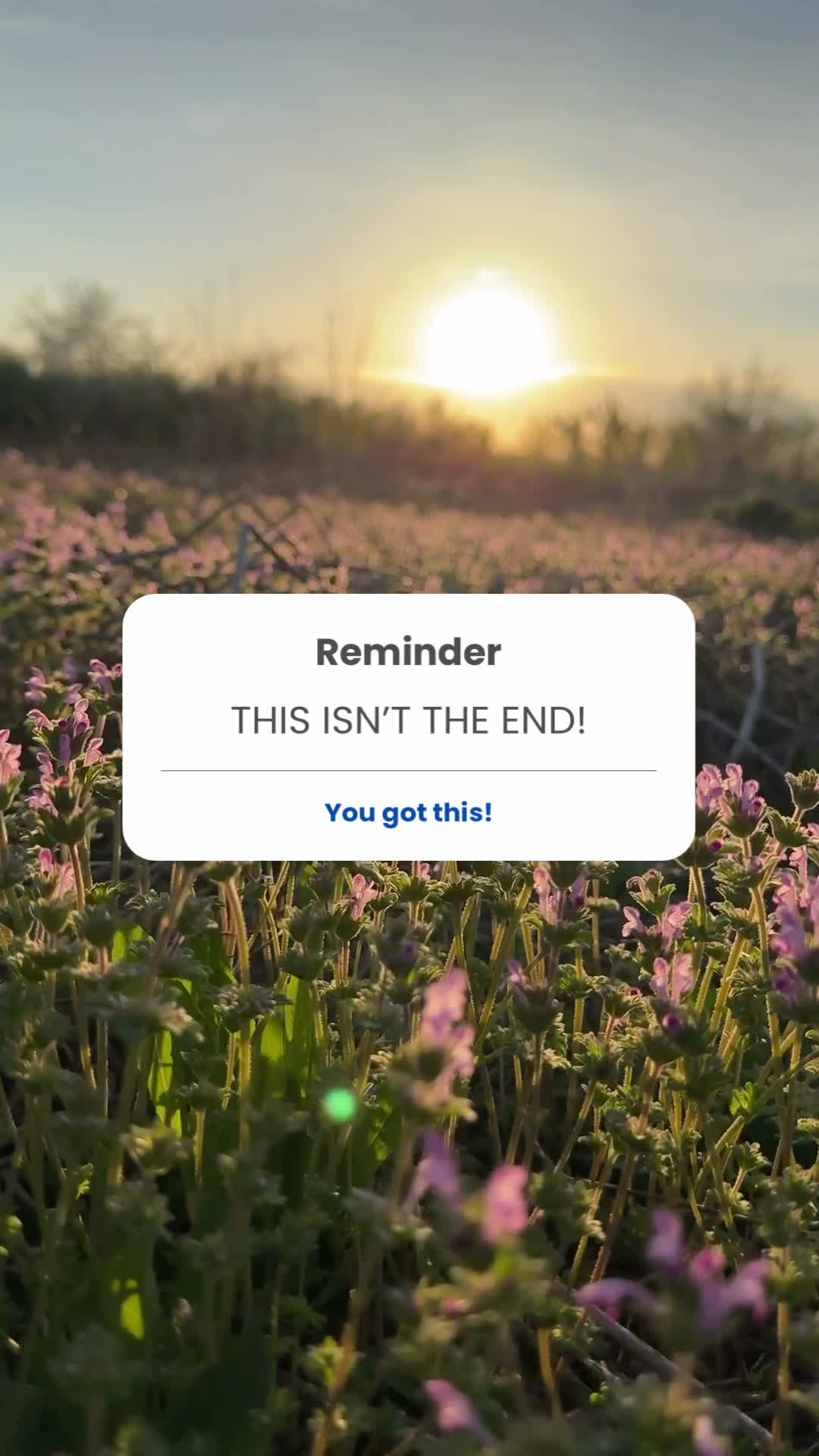 This is your start!!