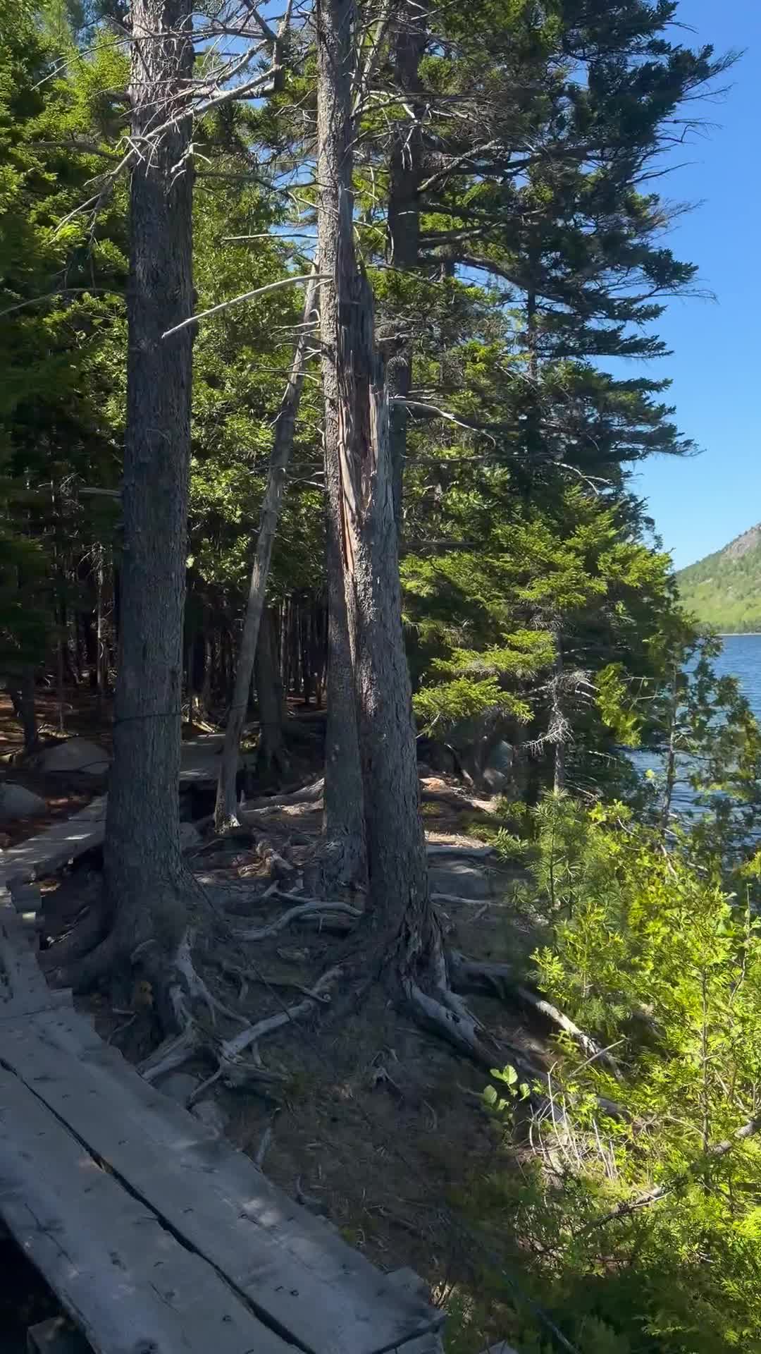 Acadia Hike