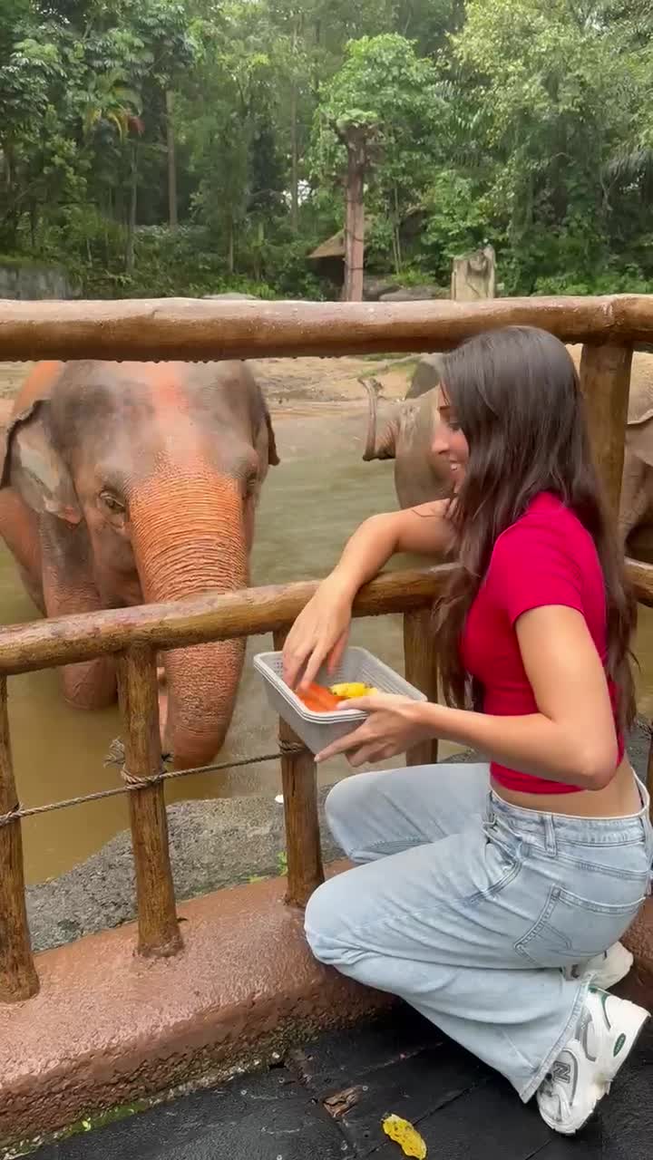 Elephant Feeding Nature Walk